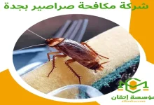 شركة مكافحة صراصير بجدة