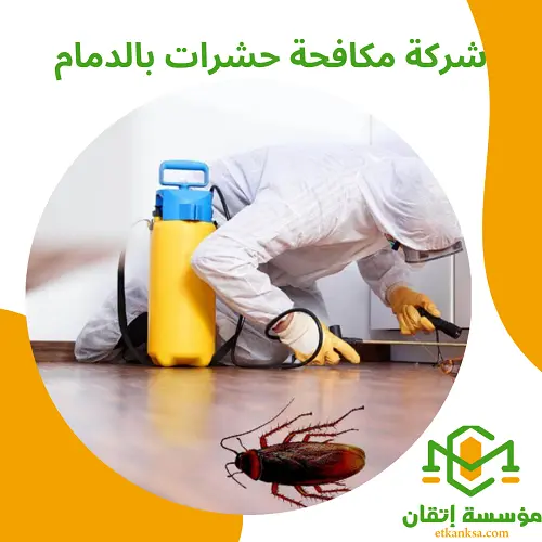 شركة مكافحة حشرات بالدمام