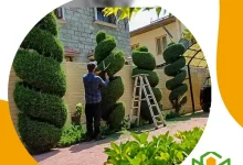 قص اشجار بالرياض