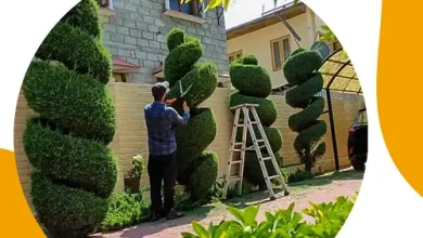 قص اشجار بالرياض