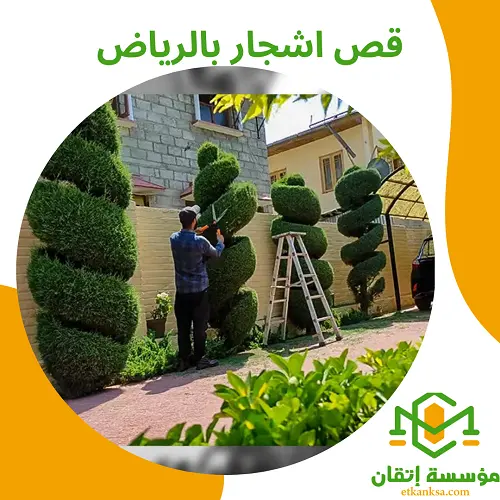 قص اشجار بالرياض