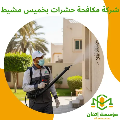 شركة مكافحة حشرات بخميس مشيط