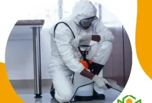 شركة مكافحة حشرات بالطائف