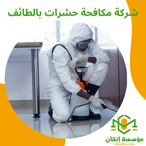 شركة مكافحة حشرات بالطائف