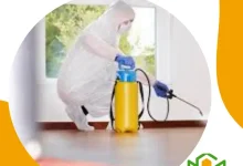 شركة مكافحة حشرات بالخبر