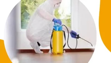 شركة مكافحة حشرات بالخبر