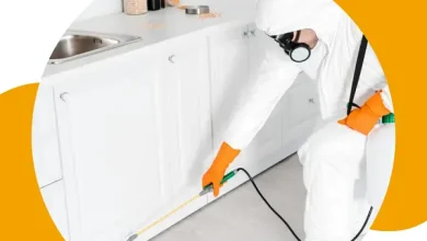 شركة مكافحة حشرات بجازان