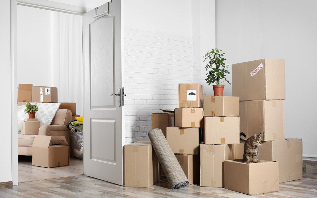 نقل عفش بيشة