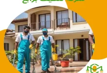 شركة تنظيف برابغ