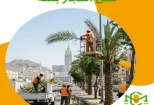 قص اشجار بمكة