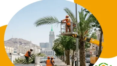 قص اشجار بمكة