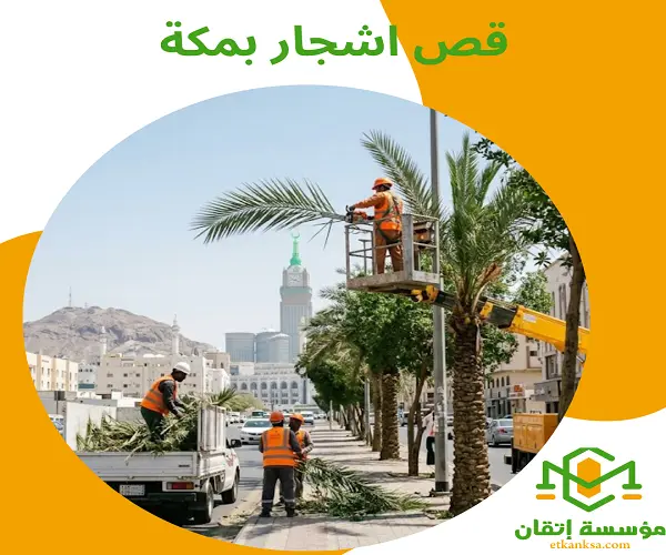 قص اشجار بمكة